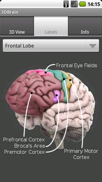 Imagen 1 para 3D Brain