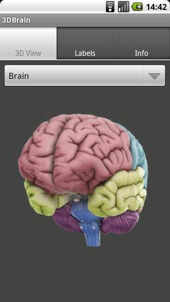 Image 1 for 3D Brain