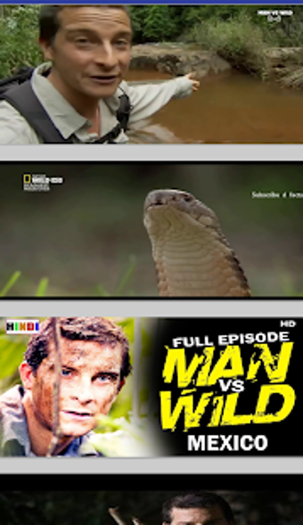 Image 3 for Man vs Wild in Hindi