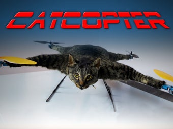 Image 4 for Cat Copter