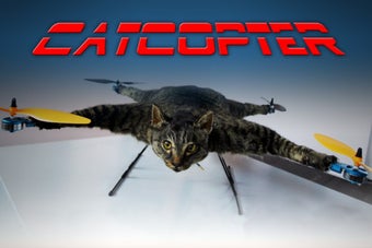 Image 0 for Cat Copter