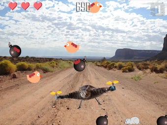 Image 1 for Cat Copter