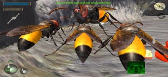Image 1 for Wasp Nest Simulation Full