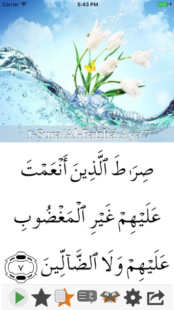 Image 3 for Visual Quran