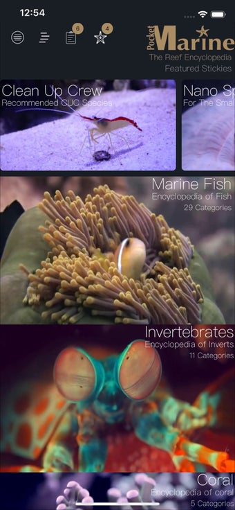 Image 2 for Pocket Marine