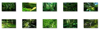 Image 0 for Rainforest Windows 7 Them…