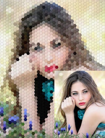 Image 0 for Pic2Pix - Picture to Pixe…
