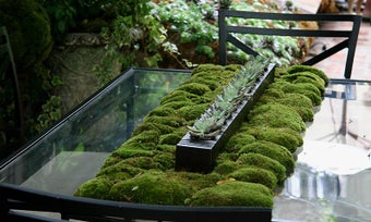Image 0 for Small Garden Ideas