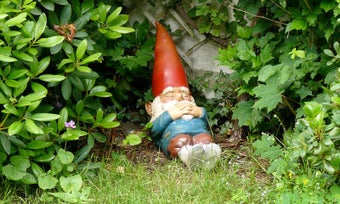 Image 2 for Small Garden Ideas