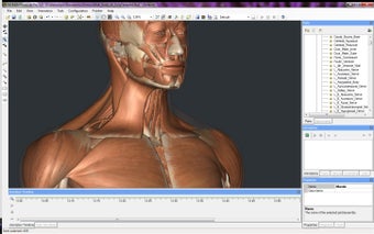 Imagen 3 para NGRAIN Producer