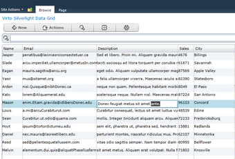 Imagen 0 para Virto Silverlight Data Gr…