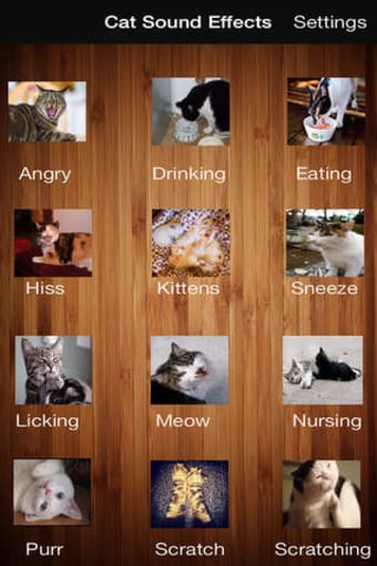 Image 0 for Cats & Dogs Sound Effects…
