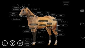 Imagen 6 para Horse Anatomy: Equine 3D