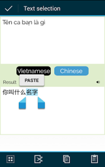 Image 0 for Vietnamese Chinese Transl…