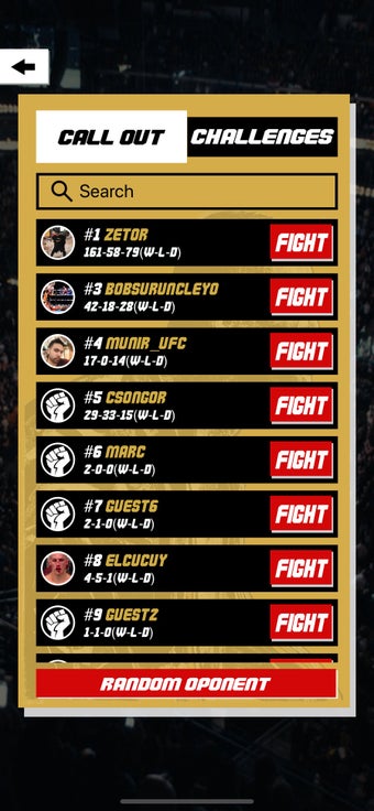 Image 0 for MMA Quest - To Real Fight…