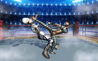 Image 1 for Robot Ring Fighting:Real …
