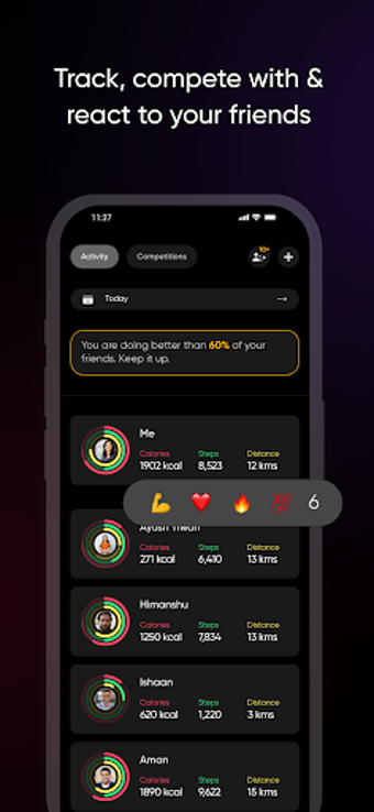 Image 0 for NoiseFit