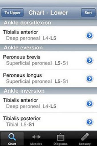 Imagen 0 para Nerve Whiz