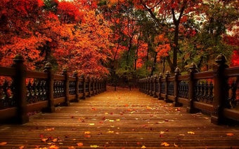 Imagen 0 para Autumn Tile Puzzle
