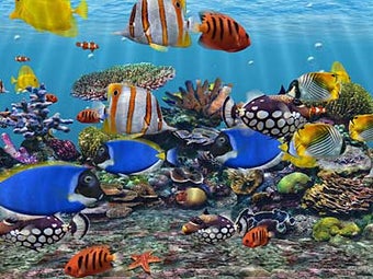 Image 0 for 3D Fish School Screensave…