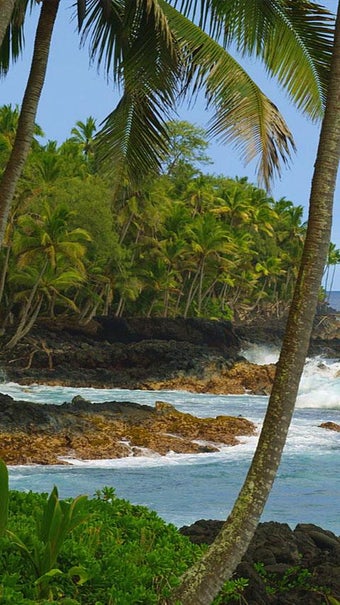 Imagen 0 para Hawaiian Waves Video & Al…