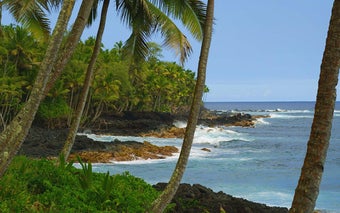Imagen 1 para Hawaiian Waves Video & Al…