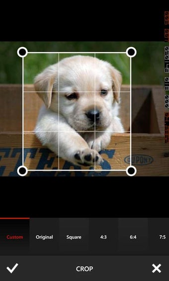 Imagen 2 para Best Photo Editor for Win…