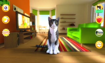 Imagen 1 para Talking Devon Rex