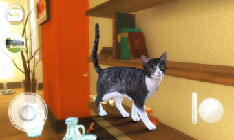 Imagen 0 para Talking Devon Rex