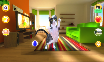 Imagen 2 para Talking Devon Rex