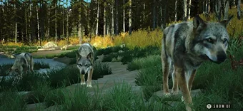 Image 0 for Way of the Hunter Wild Am…