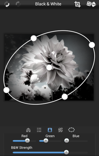 Imagen 2 para Dramatic Black & White