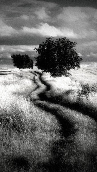 Imagen 1 para Dramatic Black & White