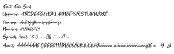 Imagen 0 para Fake Serif