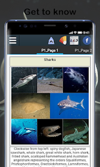 Imagen 1 para Shark
