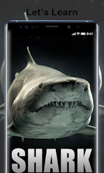 Imagen 3 para Shark
