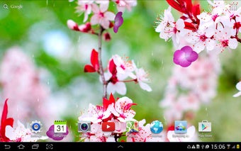 Image 1 for Cherry Blossom Live Wallp…