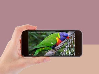 Imagen 2 para Wild birds documentary on…