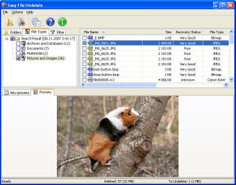 Image 0 for Easy File Undelete