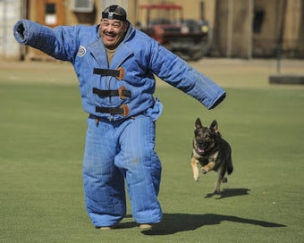 Imagen 0 para German Shepherd Training