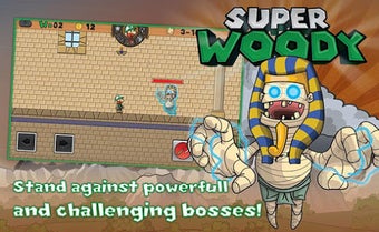 Image 0 for Super Woody with Lost Wor…