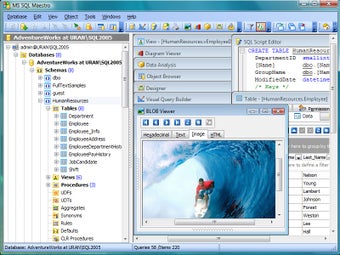 Image 0 for MS SQL Maestro