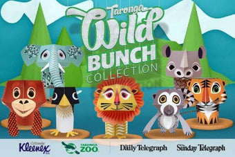 Image 0 for The Wild Bunch