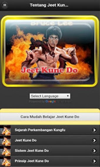 Imagen 0 para Jeet Kune Do (JKD)
