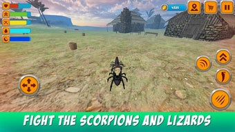 Image 1 for Poisonous Tarantula Spide…