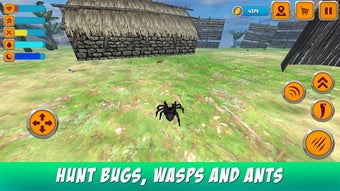 Image 3 for Poisonous Tarantula Spide…