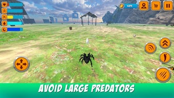 Image 0 for Poisonous Tarantula Spide…