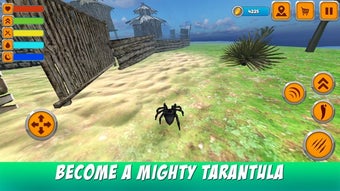 Image 2 for Poisonous Tarantula Spide…