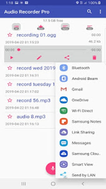 Imagen 0 para Audio Recorder Pro