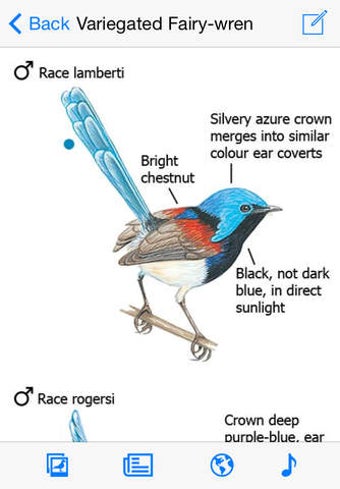 Image 0 for The Michael Morcombe and …
